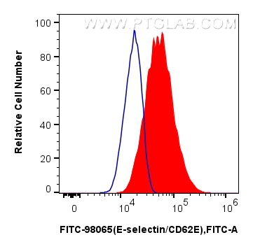 1x10^6 bEnd.3 cells were surface stained with 0.25 ug FITC Plus Anti-Mouse E-selectin/CD62E Rabbit RecAb (FITC-98065, Clone:240700D4) (red), or 0.25 ug FITC Plus Rabbit IgG Isotype Control RecAb (<a class='green' href='/productredirect?CatalogNo=FITC-98136' target='_blank'>FITC-98136</a>, Clone: 240953C9) (blue). Cells were not fixed. FC experiment of bEnd.3 using FITC-98065