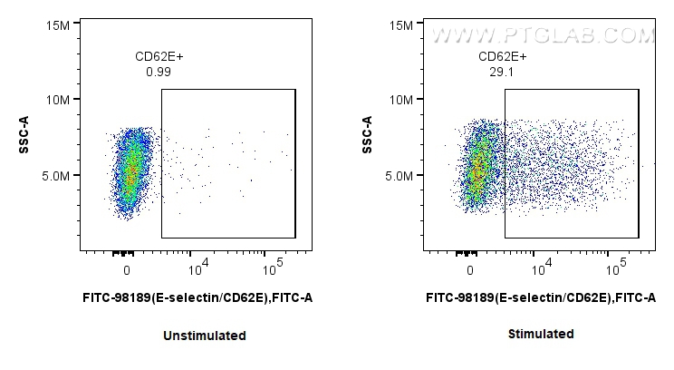 FC experiment of HUVEC using FITC-98189