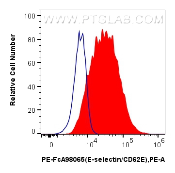 FC experiment of bEnd.3 using PE-FcA98065