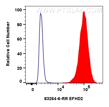 FC experiment of A431 using 83264-6-RR