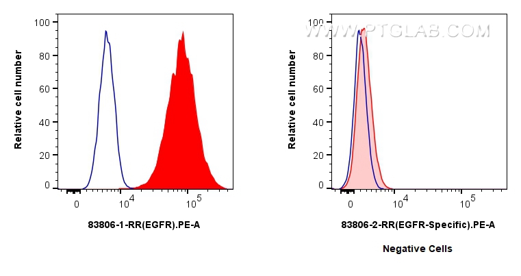 FC experiment of A431 using 83806-1-RR