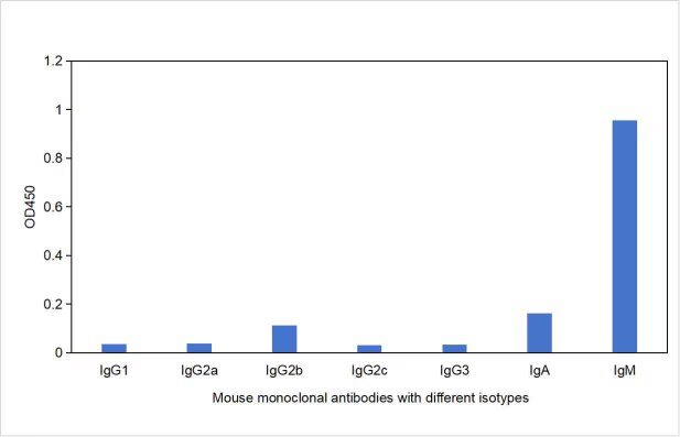 Direct ELISA was performed by coating mouse monoclonal antibodies with different isotypes followed by signal development using HRP-Goat Anti-Mouse IgM-Specific Recombinant Secondary Antibody (RGAM701). The result indicates that RGAM701 strongly binds to Mouse IgM and does not react with Mouse IgGs or mouse IgA.