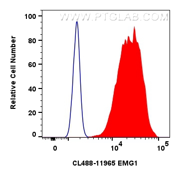 FC experiment of HeLa using CL488-11965