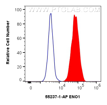 FC experiment of HeLa using 55237-1-AP