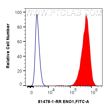 FC experiment of HepG2 using 81478-1-RR (same clone as 81478-1-PBS)