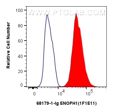 FC experiment of HepG2 using 68179-1-Ig