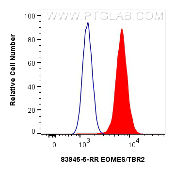 1x10^6 Jurkat cells were intracellularly stained with 0.25 ug EOMES/TBR2 Recombinant monoclonal antibody (83945-5-RR, Clone:241036D9) and CoraLite®488-Conjugated Goat Anti-Rabbit IgG(H+L) (<a class='green' href='/productredirect?CatalogNo=SA00013-2' target='_blank'>SA00013-2</a>)(red), or 0.25 ug Rabbit IgG Isotype Control RecAb (<a class='green' href='/productredirect?CatalogNo=98136-1-RR' target='_blank'>98136-1-RR</a>, Clone: 240953C9) (blue). Cells were fixed and permeabilized with Transcription Factor Staining Buffer Kit (<a class='green' href='/productredirect?CatalogNo=PF00011' target='_blank'>PF00011</a>). FC experiment of Jurkat using 83945-5-RR
