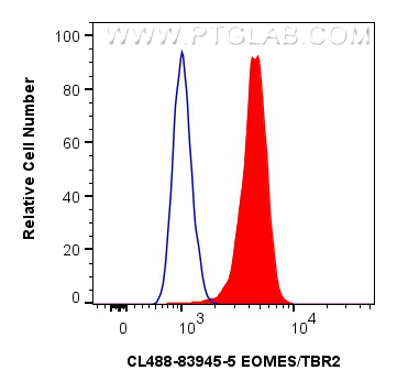 1x10^6 Jurkat cells were intracellularly stained with 0.4 ug CoraLite® Plus 488-conjugated EOMES/TBR2 Recombinant monoclonal antibody (CL488-83945-5, Clone:241036D9)(red), or 0.4 ug CoraLite® Plus 488 Rabbit IgG Isotype Control RecAb (<a class='green' href='/productredirect?CatalogNo=CL488-98136' target='_blank'>CL488-98136</a>, Clone: 240953C9) (blue). Cells were fixed and permeabilized with Transcription Factor Staining Buffer Kit (<a class='green' href='/productredirect?CatalogNo=PF00011' target='_blank'>PF00011</a>). FC experiment of Jurkat using CL488-83945-5