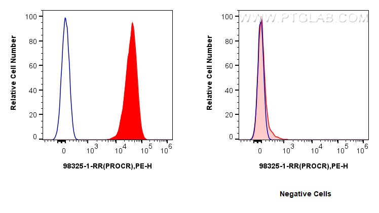 FC experiment of HUVEC using 98325-1-RR