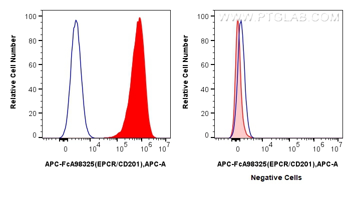 FC experiment of HUVEC using APC-FcA98325