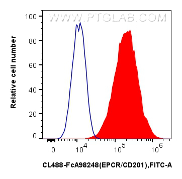 FC experiment of bEnd.3 using CL488-FcA98248