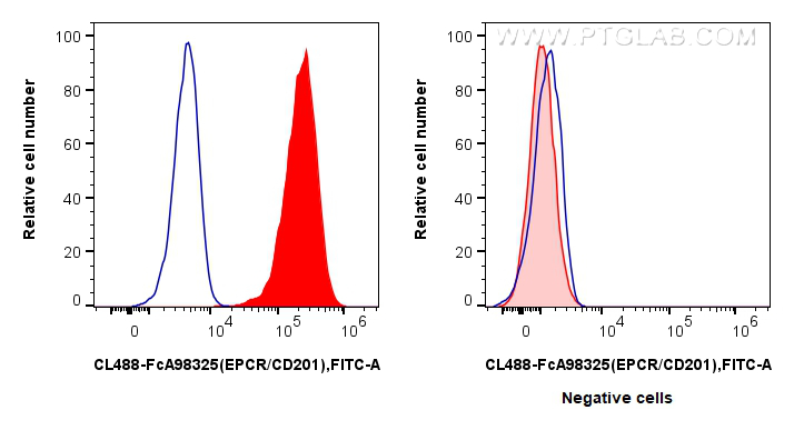 FC experiment of HUVEC using CL488-FcA98325
