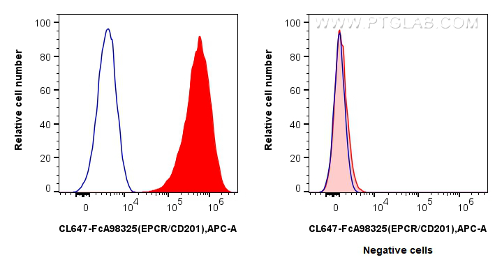 FC experiment of HUVEC using CL647-FcA98325