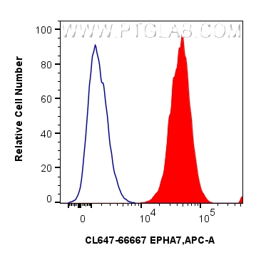 1x10^6 SH-SY5Y cells were intracellularly stained with 0.4 ug Coralite® Plus 647 Epha7 Monoclonal Antibody (CL647-66667, Clone:1A7E5)(red), or 0.4 ug CoraLite® Plus 647 Mouse IgG1 Isotype Control (MOPC-21) (<a class='green' href='/productredirect?CatalogNo=CL647-65124' target='_blank'>CL647-65124</a>, Clone: MOPC-21) (blue). Cells were fixed and permeabilized with Intracellular Flow Cytometry Fixation & Permeabilization Buffer Kit (<a class='green' href='/productredirect?CatalogNo=PF00019' target='_blank'>PF00019</a>). FC experiment of SH-SY5Y using CL647-66667