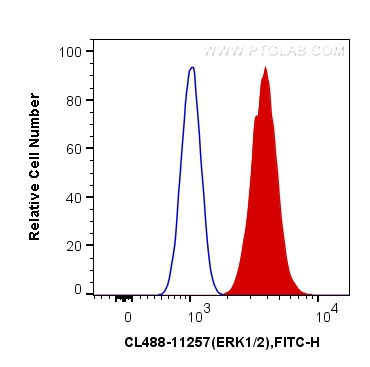FC experiment of HeLa using CL488-11257