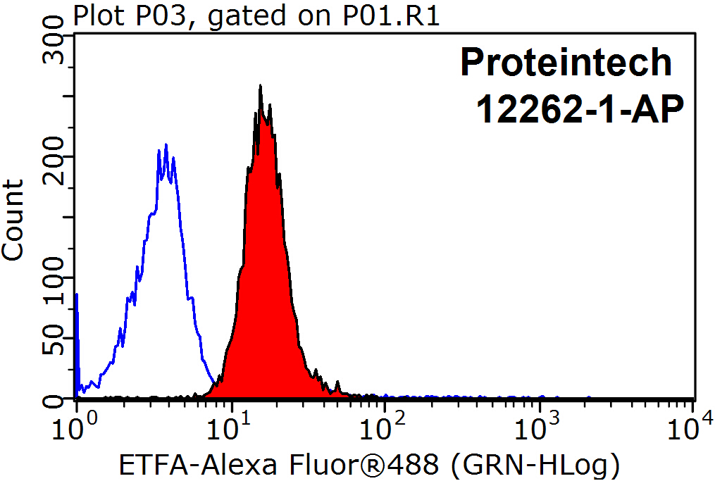 FC experiment of MCF-7 using 12262-1-AP