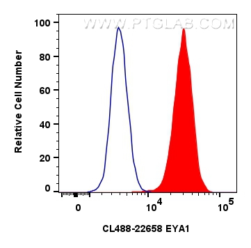 FC experiment of HeLa using CL488-22658