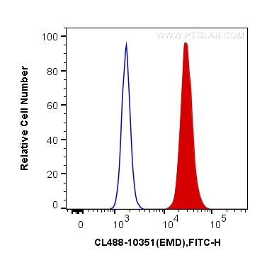 FC experiment of HeLa using CL488-10351