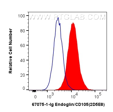 FC experiment of HUVEC using 67075-1-Ig