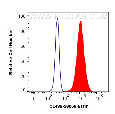 FC experiment of HeLa using CL488-26056