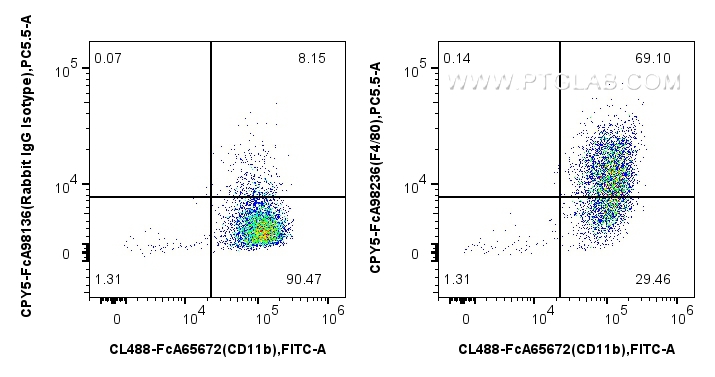 FC experiment of mouse peritoneal macrophages using CPY5-FcA98236