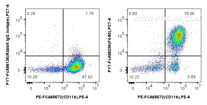 1x10^6 mouse peritoneal macrophages were surface stained with FcZero-rAb™ APC Anti-Mouse CD11b (M1/70), and 0.1 ug PE Anti-Mouse F4/80 Rabbit RecAb (PE-FcA98236, Clone: 241959G4) or PE Rabbit IgG Isotype Control RecAb (<a class='green' href='/productredirect?CatalogNo=PE-FcA98136' target='_blank'>PE-FcA98136</a>, Clone: 240953C9). Cells were not fixed. FC experiment of mouse peritoneal macrophages using PE-FcA98236