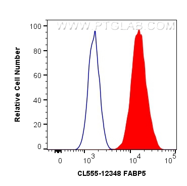 FC experiment of HeLa using CL555-12348