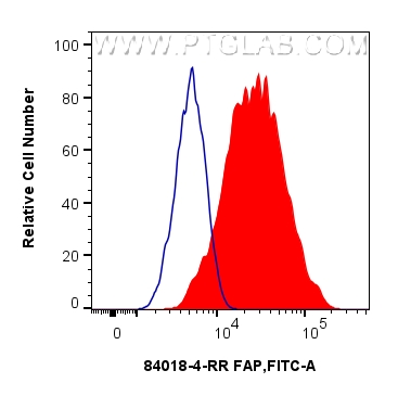 1x10^6 U-87 MG cells were surface stained with 0.25 ug FAP Recombinant monoclonal antibody (<a class='green' href='/productredirect?CatalogNo=84018-4-RR' target='_blank'>84018-4-RR</a>, Clone:241129B4) (red) or 0.25 ug Rabbit IgG Isotype Control RecAb (<a class='green' href='/productredirect?CatalogNo=98136-1-RR' target='_blank'>98136-1-RR</a>, Clone: 240953C9) (blue), and CoraLite®488-Conjugated Goat Anti-Rabbit IgG(H+L) (<a class='green' href='/productredirect?CatalogNo=SA00013-2' target='_blank'>SA00013-2</a>). Cells were not fixed. This data was developed using the same antibody clone with 84018-4-PBS in a different storage buffer formulation. FC experiment of U-87 MG using 84018-4-RR (same clone as 84018-4-PBS)