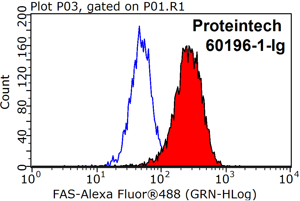 FAS/CD95 Monoclonal antibody