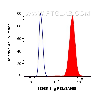 FC experiment of HepG2 using 66985-1-Ig (same clone as 66985-1-PBS)