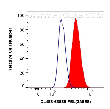 FC experiment of HepG2 using CL488-66985