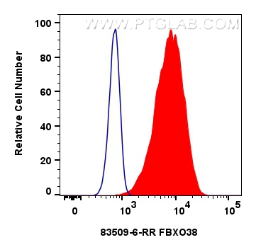 FC experiment of HeLa using 83509-6-RR (same clone as 83509-6-PBS)