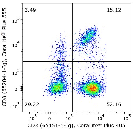 Flow cytometry of PBMC. 1X10^6 human peripheral blood mononuclear cells (PBMCs) were stained with anti-human CD3 (clone UCHT1, 65151-1-Ig) labeled with FlexAble CoraLite® Plus 405 Kit (KFA026) and anti-human CD8 (clone UCHT4, 65204-1-Ig) labeled with FlexAble CoraLite® Plus 555 Kit (KFA042).