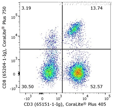 Flow cytometry of PBMC. 1X10^6 human peripheral blood mononuclear cells (PBMCs) were stained with anti-human CD3 (clone UCHT1, 65151-1-Ig) labeled with FlexAble CoraLite® Plus 405 Kit (KFA026) and anti-human CD8 (clone UCHT4, 65204-1-Ig) labeled with FlexAble CoraLite® Plus 750 Kit (KFA044).​