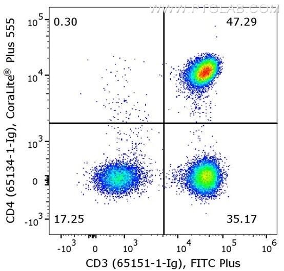 Flow cytometry of PBMC. 1X10^6 human peripheral blood mononuclear cells (PBMCs) were stained with anti-human CD3 (clone UCHT1, 65151-1-Ig) labeled with FlexAble FITC Plus Kit (KFA028) and anti-human CD4 (clone OKT4, 65134-1-Ig) labeled with FlexAble CoraLite® Plus 555 Kit (KFA062).​