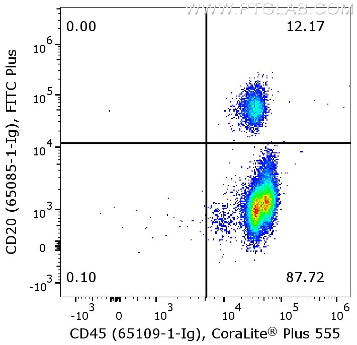 Flow cytometry of PBMC. 1X10^6 human peripheral blood mononuclear cells (PBMCs) were stained with anti-human CD45 (clone HI30, 65109-1-Ig) labeled with FlexAble CoraLite Plus 555 Kit (KFA022) and anti-human CD20 (clone 2G7, 65085-1-Ig) labeled with FlexAble FITC Plus Kit (KFA068).