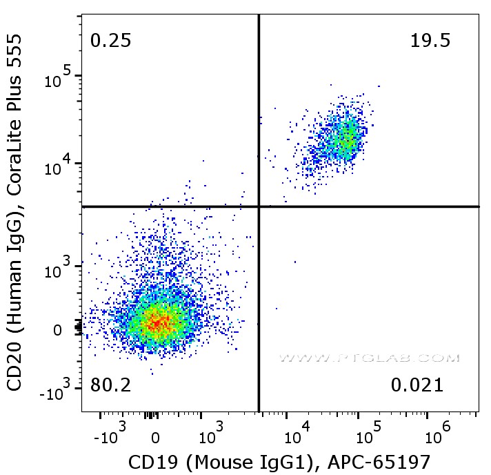 Flow cytometry of PBMC. 1X10^6 human peripheral blood mononuclear cells (PBMCs) were stained with anti-human CD20 (Human IgG1) labeled with FlexAble CoraLite® Plus 555 Kit (KFA105) and anti-human CD19 (Mouse IgG1, clone 4G7) conjugated with APC (APC-65197).