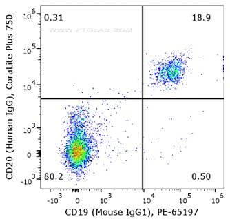 Flow cytometry of PBMC. 1X10^6 human peripheral blood mononuclear cells (PBMCs) were stained with anti-human CD20 (Human IgG1) labeled with FlexAble CoraLite® Plus 750 Kit (KFA107) and anti-human CD19 (Mouse IgG1, clone 4G7) conjugated with PE (PE-65197).