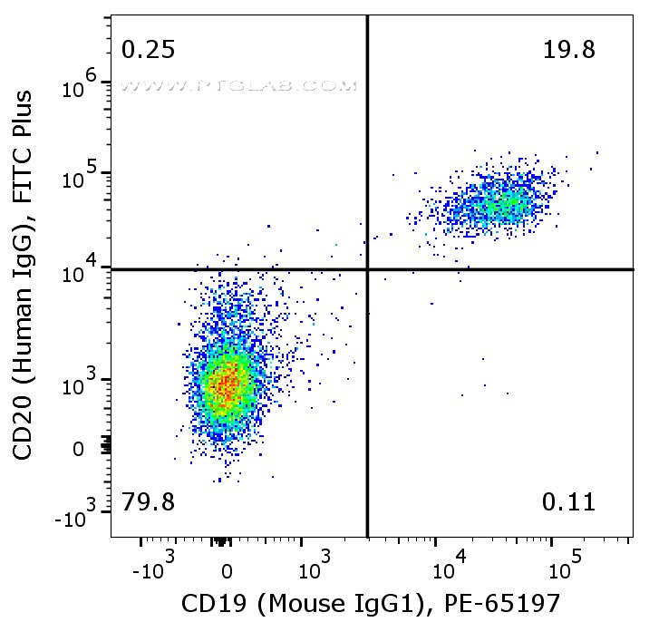 Flow cytometry of PBMC. 1X10^6 human peripheral blood mononuclear cells (PBMCs) were stained with anti-human CD20 (Human IgG1) labeled with FlexAble FITC Plus Kit (KFA109) and anti-human CD19 (Mouse IgG1, clone 4G7) conjugated with PE  (PE-65197).