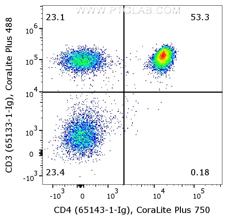 1X10^6 human PBMCs were surface co-stained with Anti-Human CD3 (65133-1-Ig, Clone:OKT3) labeled with FlexAble 2.0 CoraLite® Plus 488 Kit (KFA541), and Anti-Human CD4 (65143-1-Ig, Clone:RPA-T4) labeled with FlexAble 2.0 CoraLite® Plus 750 Kit (KFA524). Cells were not fixed. Lymphocytes were gated.