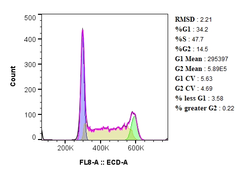 细胞周期的分析,以Jurkat细胞为例。 细胞周期的分析,以Jurkat细胞为例。