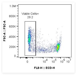 活细胞染色,大鼠脾细胞,经热处理后进行染色。 活细胞染色,大鼠脾细胞,经热处理后进行染色。