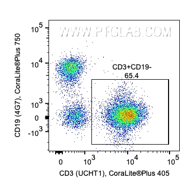 用Human T Cell Basics Panel（PK30007）对1x10^6人外周血单核细胞进行染色。对CD3+/CD19-细胞设门。目标细胞群：CD45+淋巴细胞。细胞未固定。