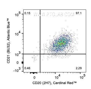 用Human B Cell Basics Panel（PK30008）对1x10^6人外周血单核细胞进行染色。散点图显示CD45+CD3-CD19+淋巴细胞上CD20和CD21的表达。细胞未固定。