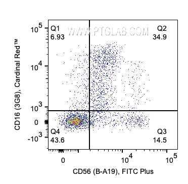 用Human NK Cell Basics Panel（PK30009）对1x10^6人外周血单核细胞进行染色。散点图显示CD3-/CD226+淋巴细胞上CD56和CD16的表达。细胞未固定。