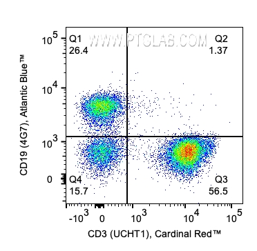 用Human TBNK Basics Panel（PK30012）对1x10^6人外周血单核细胞进行染色。散点图显示淋巴细胞上CD3和CD19的表达。细胞未固定。