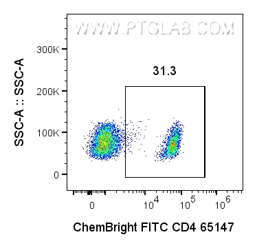 取1×10⁶个人外周血单个核细胞（PBMC），用0.0625 ug经ChemBright FITC Plus抗体标记试剂盒（货号：PK30032）标记的抗人CD4抗体（货号：65147-1-Ig，克隆号：SK3）进行细胞表面染色。细胞未进行固定。染色前使用Fc受体阻断剂处理细胞。圈选活细胞（PI⁻）中的淋巴细胞。