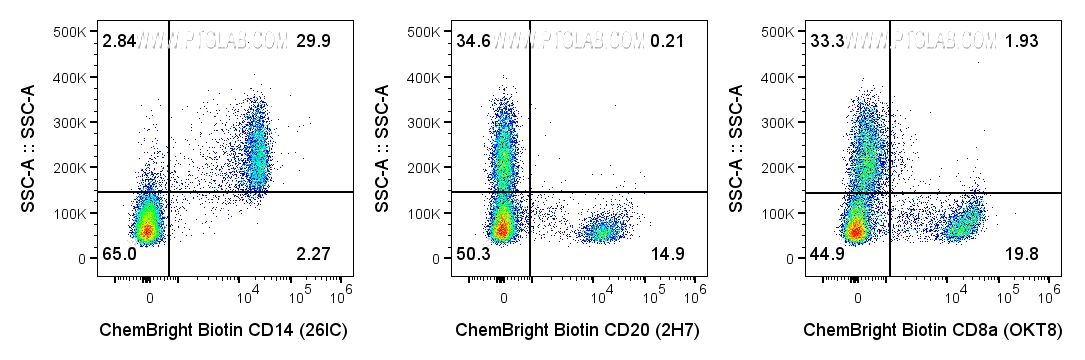 取 1×10⁶个人外周血单个核细胞（PBMC），用 0.5 ug 经 ChemBright Biotin抗体标记试剂盒（货号：PK30033）标记的多种抗人抗体进行细胞表面染色，洗涤后再用链霉亲和素-PE（货号：PE-PF00030）染色。细胞未进行固定。染色前使用 Fc 受体阻断剂处理细胞。圈选淋巴细胞和单核细胞。
左侧：抗人 CD14 抗体（货号：65246-1-Ig，克隆号：26IC）；中间：抗人 CD20 抗体（货号：65085-1-Ig，克隆号：2H7）；右侧：抗人 CD8a 抗体（货号：65135-1-Ig，克隆号：OKT8）。