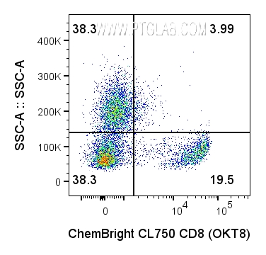 取1×10⁶个人外周血单个核细胞（PBMC），采用经ChemBright CoraLite® Plus 750抗体标记试剂盒（货号：PK30034）标记的0.0625 ug抗人CD8a抗体（货号：65135-1-Ig，克隆号：OKT8）进行细胞表面染色。细胞未进行固定。染色前使用Fc受体阻断剂处理细胞。圈选活细胞（PI⁻）中的淋巴细胞与单核细胞。