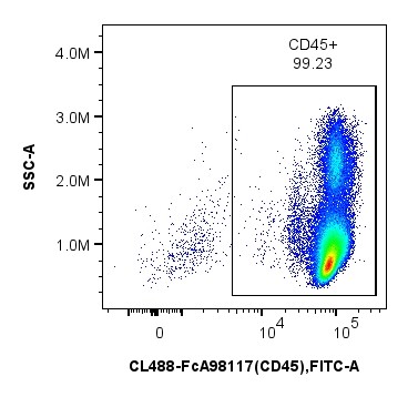 用FcZero-rAb® Human B Cell Basics Panel（PK30052）对1x10^6人外周血单核细胞进行染色。对CD45+细胞设门。细胞未固定。